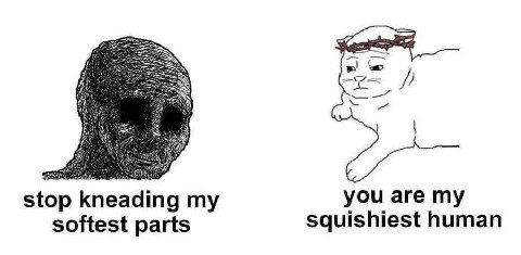 you are my stop kneading my squishiest human softest parts
