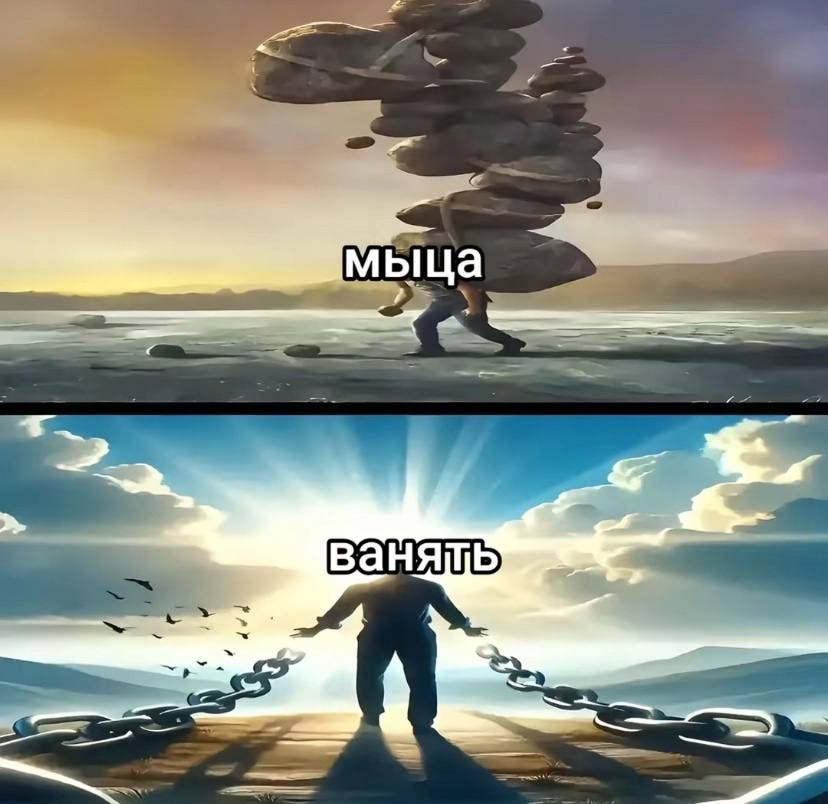 мыца