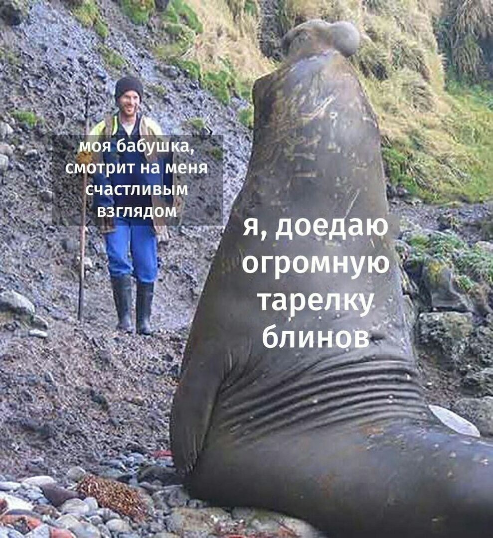 a моя бабушка, В смотрит меня счастливым взглядом Я, доедаю огромную тарелку. блинов”