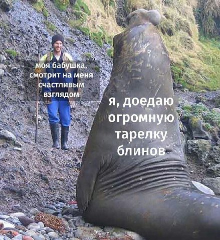 a моя бабушка, В смотрит меня счастливым взглядом Я, доедаю огромную тарелку. блинов”