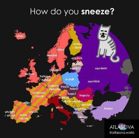 How you sneeze? atsju alshii Gtshil atjoo aatsjoo apchkhi (h)atju achoo hatsjoe a-psik hatsjie apchkhi hatschi pepe; hatschu Барс! atchoum hapci [асы Барс acin(a) apéiha atija etciu apchiha hapsu atch