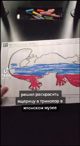 решил раскрасить 5 ящерицу в триколор в японском музее решил ринит ! A