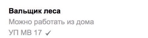 господи наконец-то работа мечты
