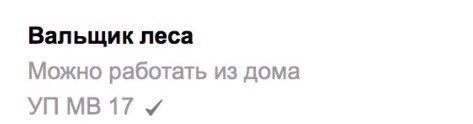 господи наконец-то работа мечты