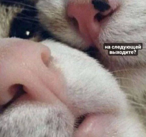 на следующей выходите?