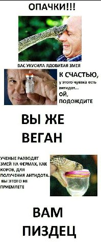 ОПАЧКИ eee BAC УКУСИЛА ЯДОВИТАЯ 3MEA К СЧАСТЬЮ, у этого чувака есть антидот... ПОДОЖДИТЕ ВЫ ЖЕ ВЕГАН УЧЕНЫЕ РАЗВОДЯТ ЗМЕЙ НА ФЕРМАХ, КАК 5 КОРОВ, ДЛЯ ПОЛУЧЕНИЯ АНТИДОТА. ВЫ ЭТОГО HE ПРИЕМЛЕТЕ BAM ПИЗД