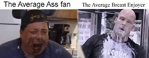 The Average Ass fan The Average Breast Enjoye