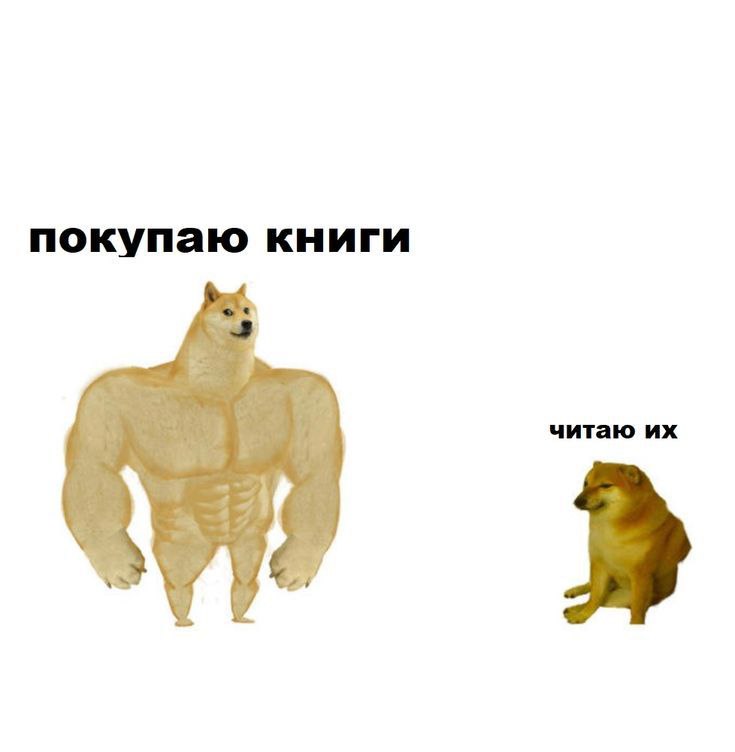 ® 5