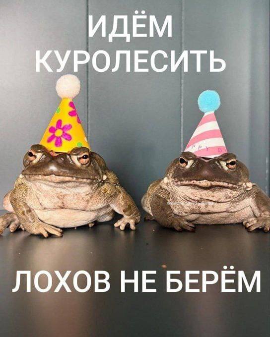ИДЕМ УРОЛЕСИТЬ ЛОХОВ HE БЕРЁМ