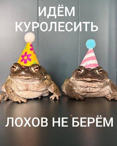 ИДЕМ УРОЛЕСИТЬ ЛОХОВ HE БЕРЁМ