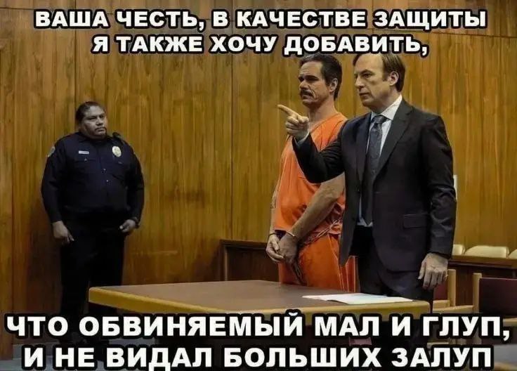 ВАША ЧЕСТЬ, В КАЧЕСТВЕ ЗАЩИТЫ Я ТАКЖЕ ХОЧУ ДОБАВИТЬ, ЧТО ОБВИНЯЕМЫЙ МАЛ И ГЛУП, И НЕ ВИДАЛ БОЛЬШИХ ЗАЛУП