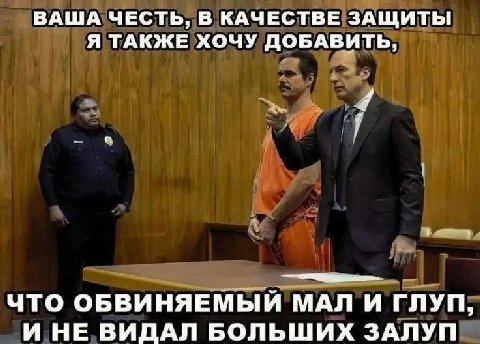 ВАША ЧЕСТЬ, В КАЧЕСТВЕ ЗАЩИТЫ Я ТАКЖЕ ХОЧУ ДОБАВИТЬ, ЧТО ОБВИНЯЕМЫЙ МАЛ И ГЛУП, И НЕ ВИДАЛ БОЛЬШИХ ЗАЛУП