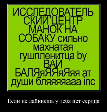 ИССЛЕДОВАТЕЛЬ СОБАКУ сильно махнатая гушпленитца души бляяяяааа Если не лайкнешь у тебя нет сердца
