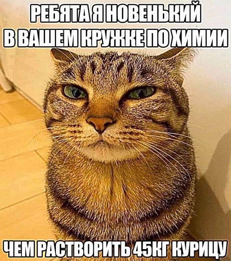 SSR SSS 5 у 3 AN у 7 ЧЕМ PACT ТВОРИТЬ