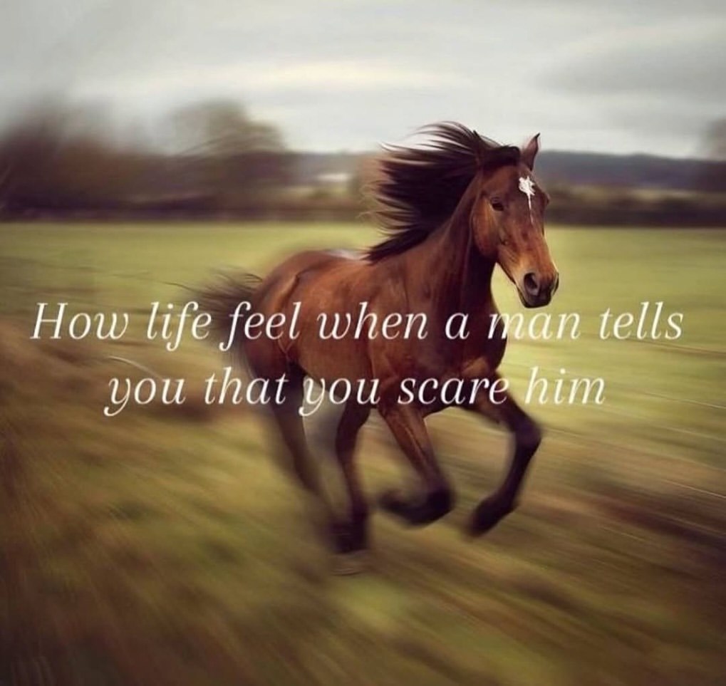 Но eel when а you that