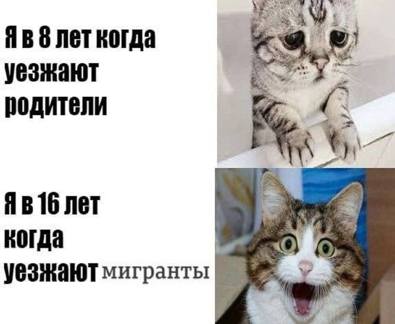 4 Я В 8 лет когда уезжают родители 16 лет когда уезжают мигранты