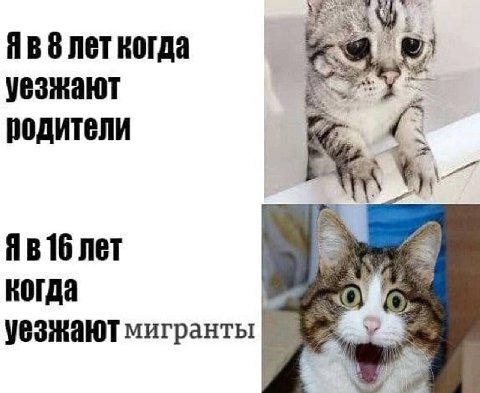4 Я В 8 лет когда уезжают родители 16 лет когда уезжают мигранты