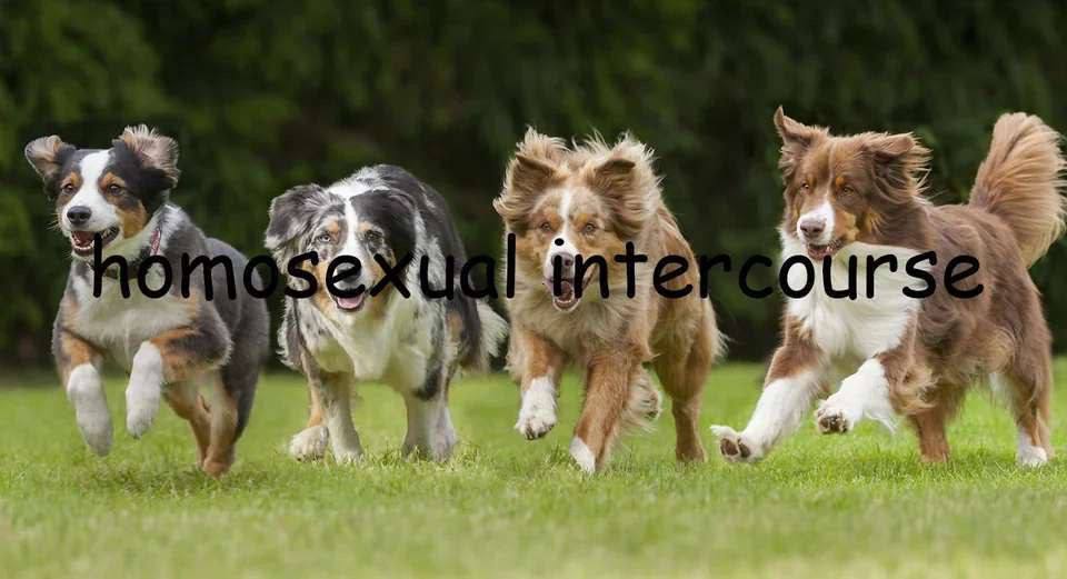 4 A A a a