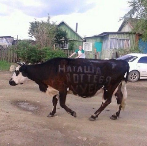 a И 1 2’ A 4 7 4