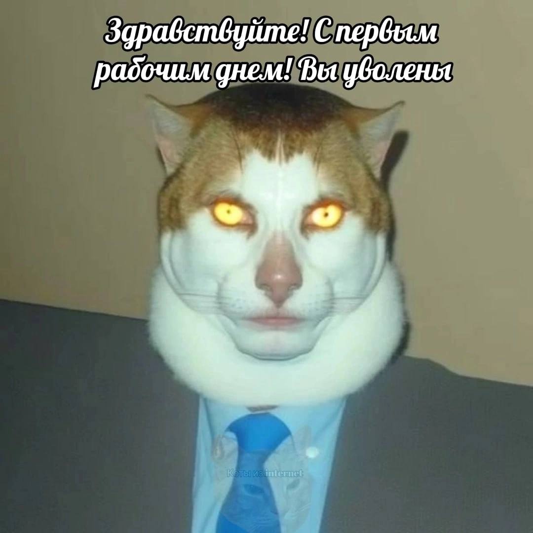 Здравствуйте! С первым рабочим днем! Вы уволены