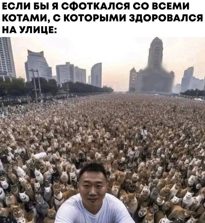 ЕСЛИ БЫ Я СФОТКАЛСЯ ВСЕМИ КОТАМИ, С КОТОРЫМИ ЗДОРОВАЛСЯ НА УЛИЦЕ: a у Я a 7. 5 4