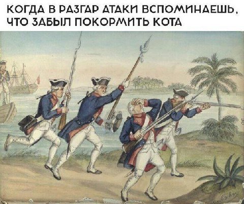 КОГДА В РАЗГАР АТАКИ ВСПОМИНАЕШЬ, ЧТО ЗАБЫЛ ПОКОРМИТЬ КОТА i