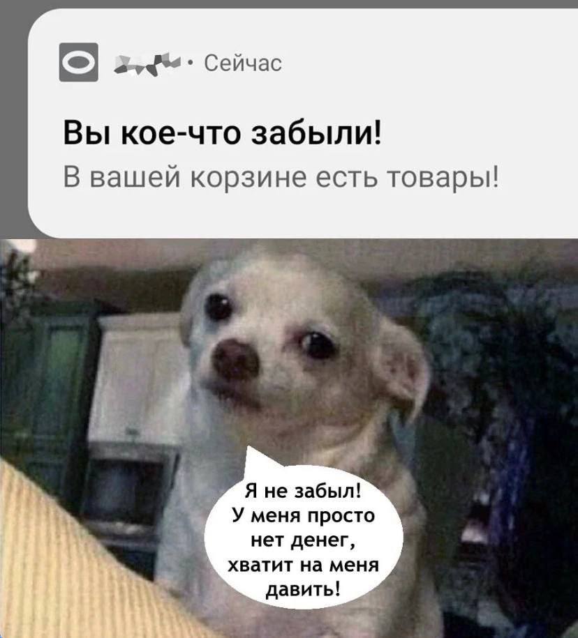 Сейчас Вы кое-что забыли! В вашей корзине есть товары! Я не забыл! У меня просто нет денег, хватит на меня