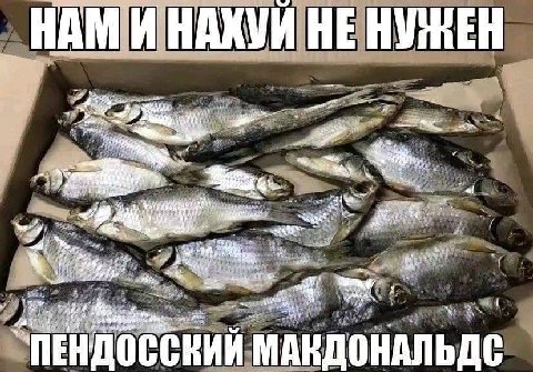 НАМИ НАКУИ НЕ НУЖЕН 4/ 4 yer МАКДОНАЛЬДС