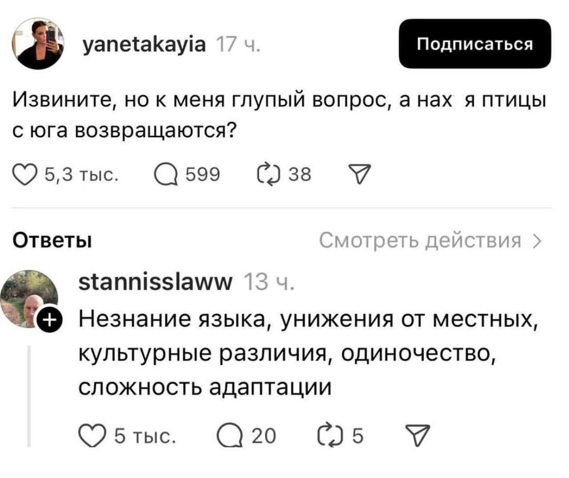 Извините, но к меня глупый вопрос, анах я птицы с юга возвращаются? С У Ответы Смотреть действия stannisslaww 13 Незнание языка, унижения местных, культурные различия, одиночество, сложность адаптации
