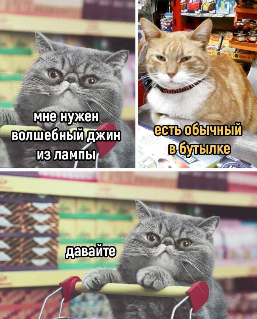 из лампы у