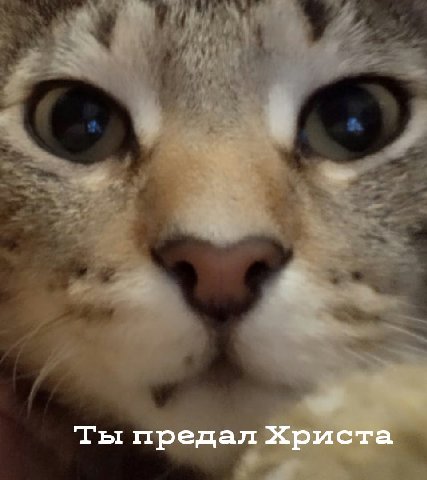 предал Христа
