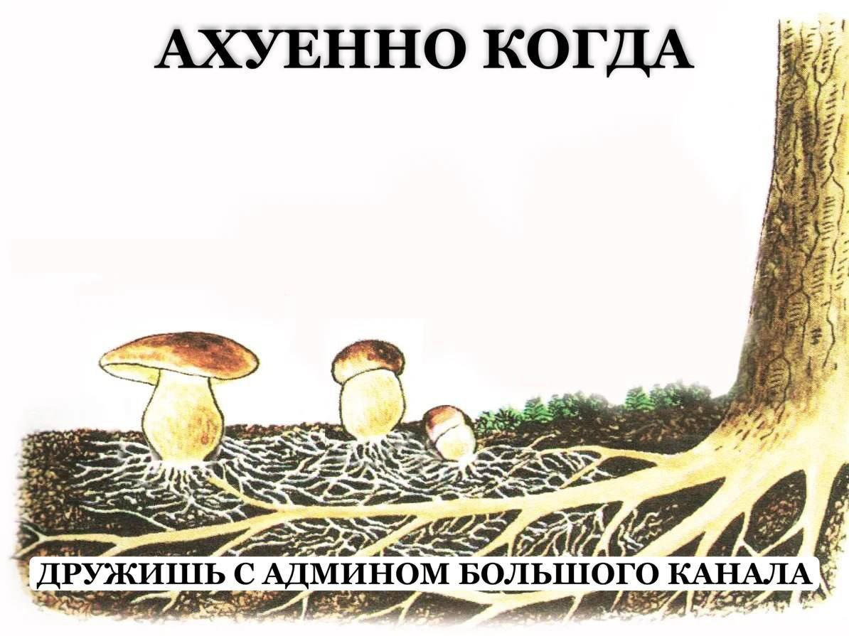 АХУЕННО 4 [278 A 4 САДМИНОМ БОЛЬШОГО КАНАЛА