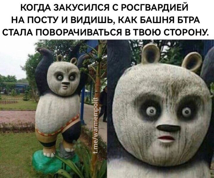 КОГДА ЗАКУСИЛСЯ С РОСГВАРДИЕЙ НА ПОСТУ И ВИДИШЬ, КАК БАШНЯ БТРА СТАЛА ПОВОРАЧИВАТЬСЯ В ТВОЮ СТОРОНУ.