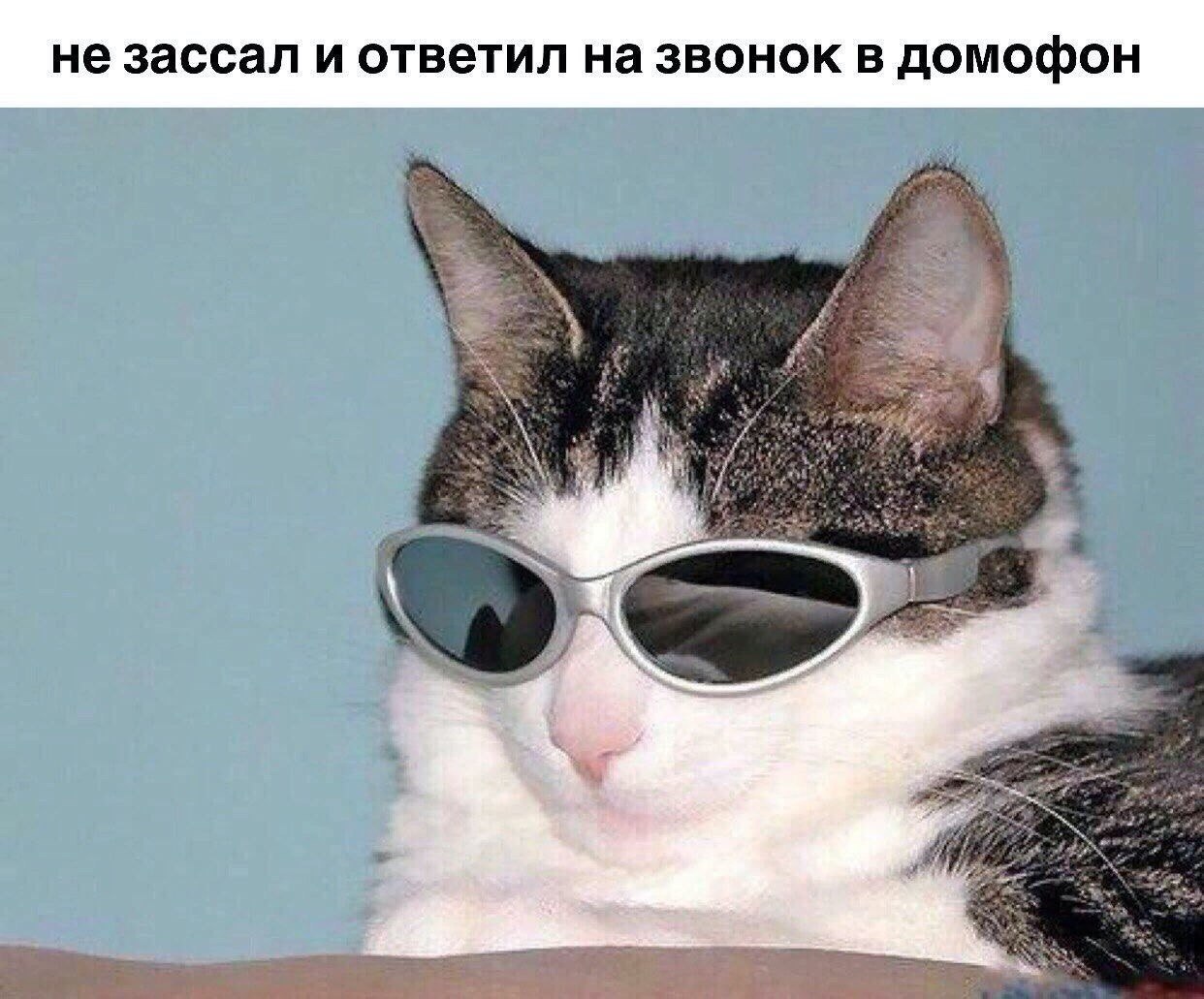 не зассал и ответил на звонок в домофон