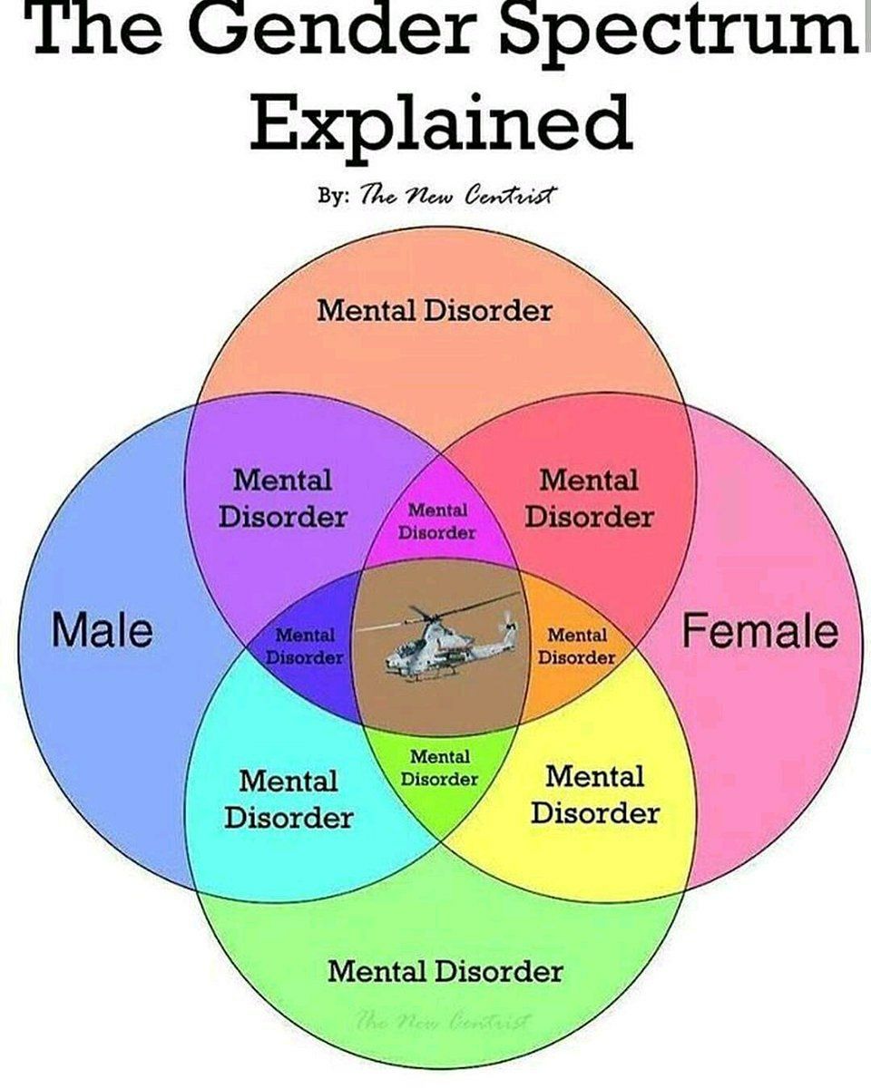 Ihe Gender spectrum Explained The Plew Mental Mental Disorder Disorder Mental Disorder the Me be