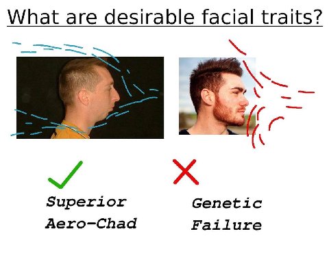 What are desirable facial traits? Superior Genetic Aero-Chad Failure