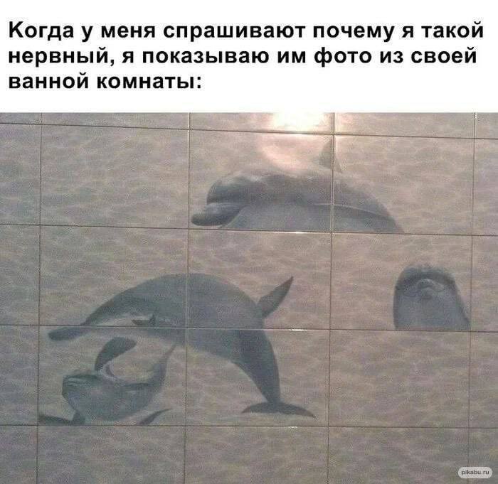 Когда у меня спрашивают почему я такой нервный, я показываю фото из своей ванной комнаты: