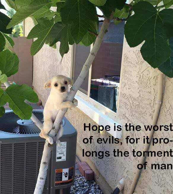 у У is the wors for i Dro he to ent