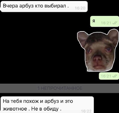 Вчера арбуз кто выбирал. На тебя похож и арбуз и это животное Не в обиду. 16:22