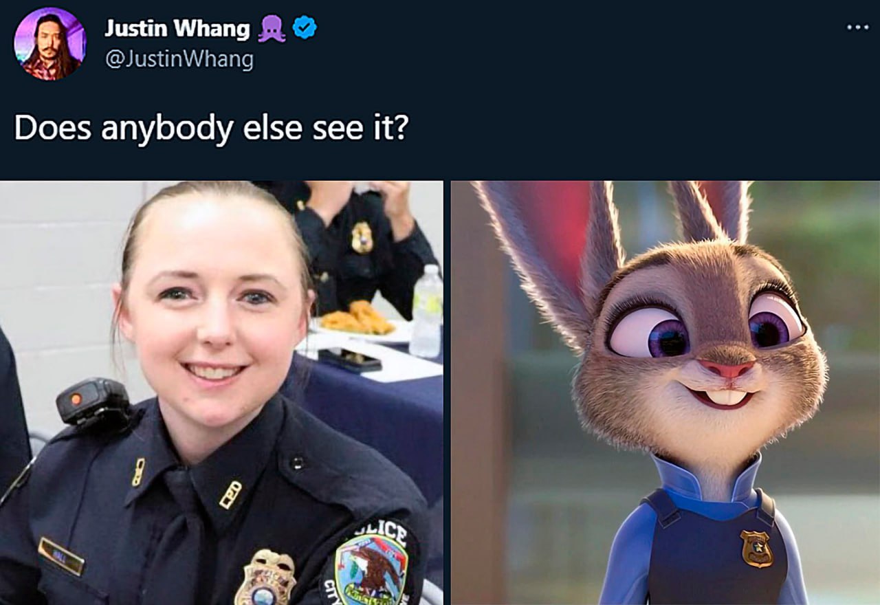 Justin Whang @JustinWhang Does anybody else see it?