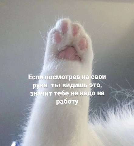 Еслй посмотрев на свои ты видишь это, тебе не надо на работу