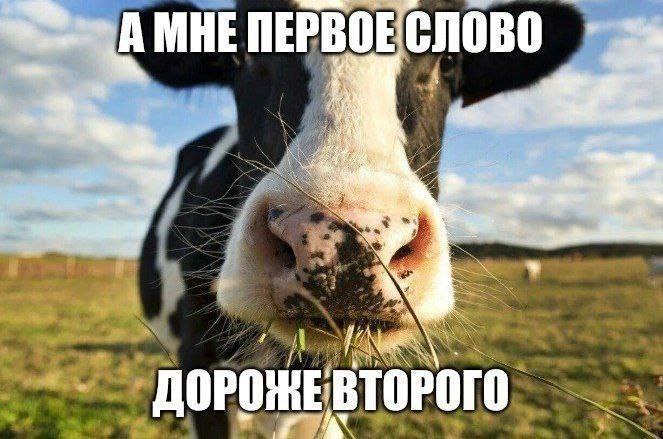 А МНЕ ПЕРВОЕСЛОВО