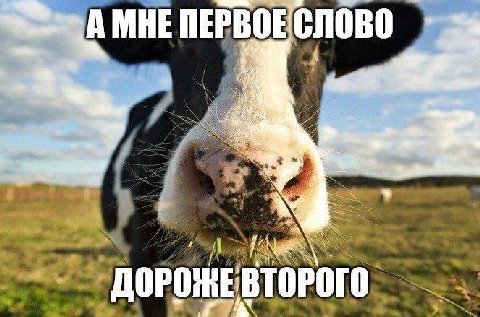 А МНЕ ПЕРВОЕСЛОВО