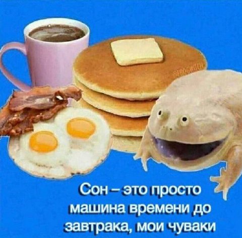 Сон это просто машина времени до завтрака, мои чуваки
