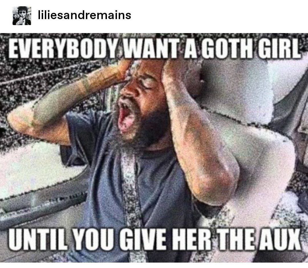 liliesandremains A GOTH, GIRL UNTI YOU GIVE HER, THE AUK,