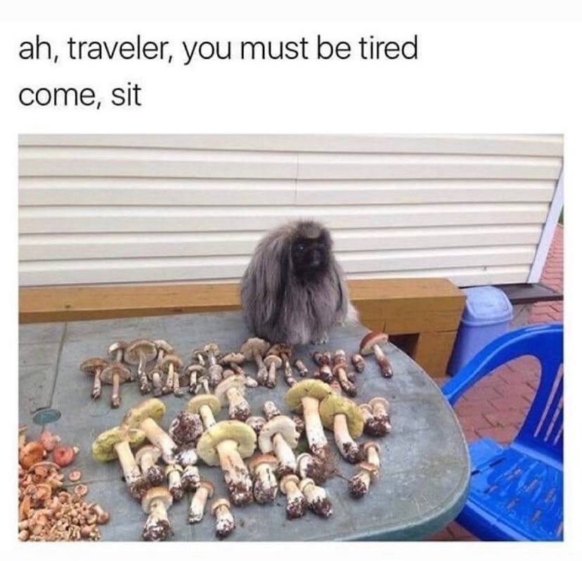 traveler, you must be tired come, sit к