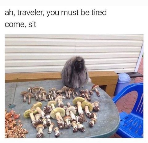traveler, you must be tired come, sit к