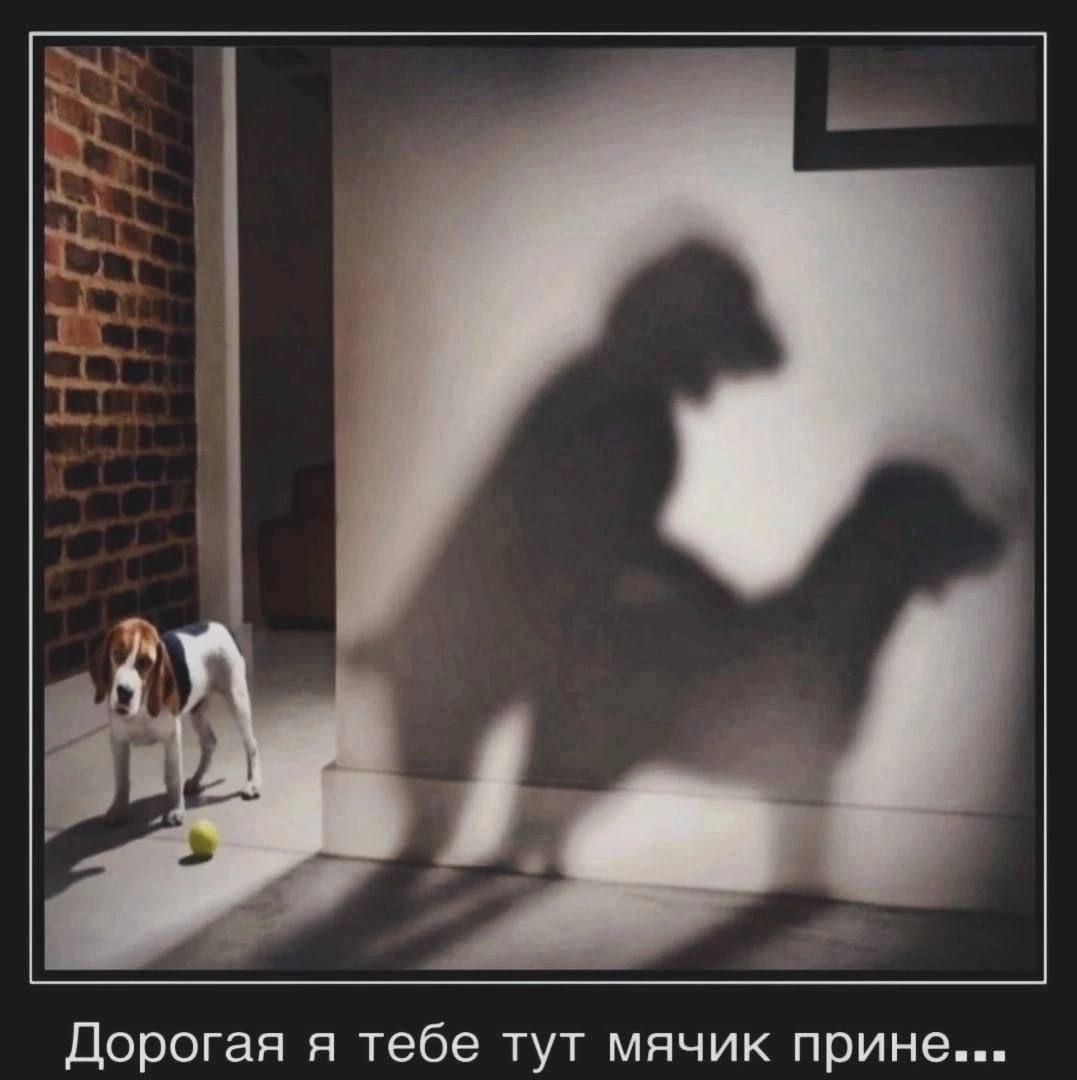 Дорогая я тебе тут мячик прине...