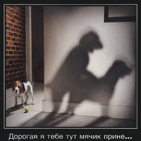 Дорогая я тебе тут мячик прине...