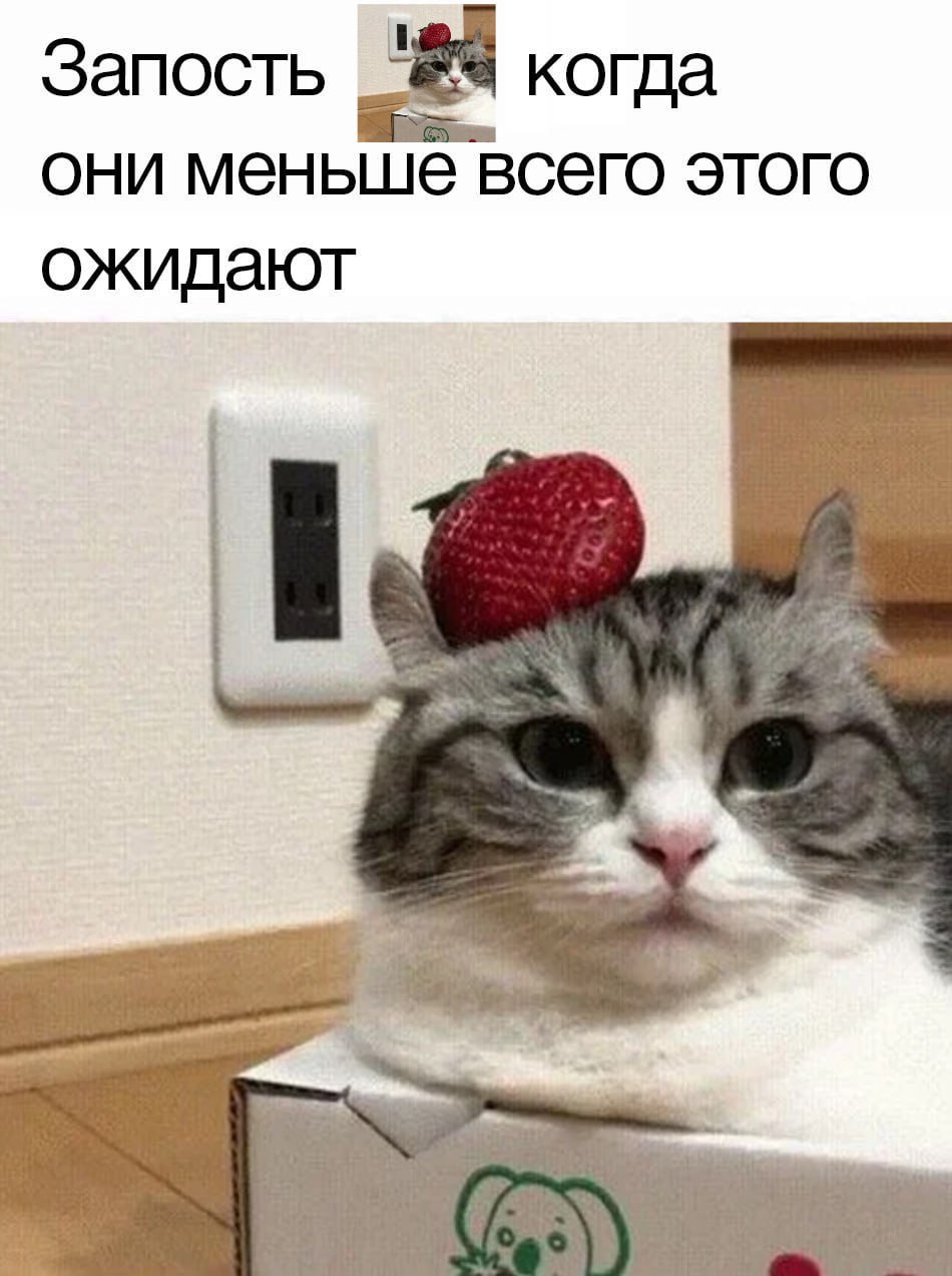Запость когда они меныше всего этого ожидают